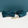 Bow Collar Leash30