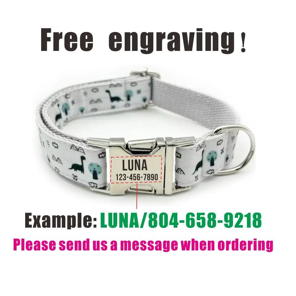 Collar personalizado para perro, Correa con placa de identificación, grabado gratis, dinosaurio verde, cachorro - imagen 4