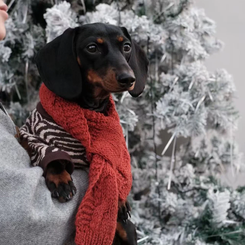 Ropa para perros Wiener, suéter cálido de leopardo para perros salchicha, abrigo suave de manga larga de invierno para perros tejón, disfraces de vacaciones - imagen 3