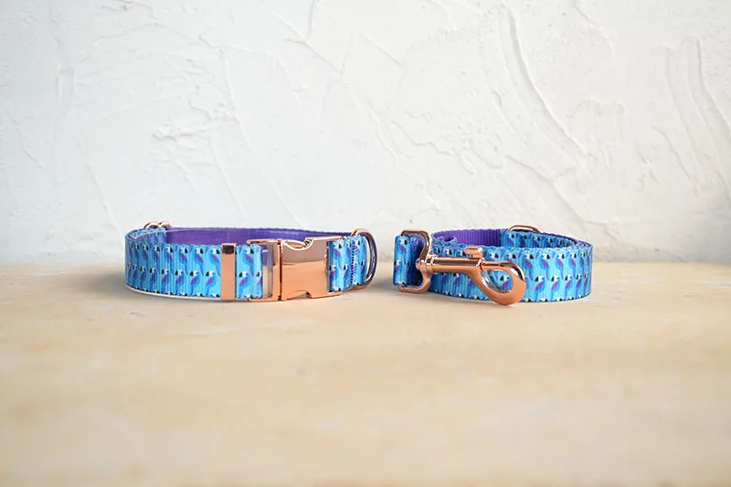 Conjunto completo PLATTCO toucan azul