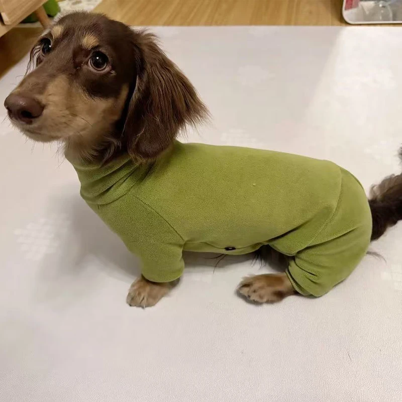 Ropa de otoño e invierno para perros Wiener, sudadera verde de lana para perros pequeños medianos de perro salchicha, abrigo cálido de 4 patas para perros salchicha - imagen 4