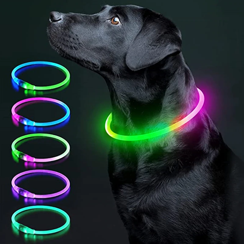 Collar luminoso para perro, Collar con carga de luz para gato, Collar de seguridad brillante DIY intermitente a la moda Led para perros, accesorios nocturnos para mascotas