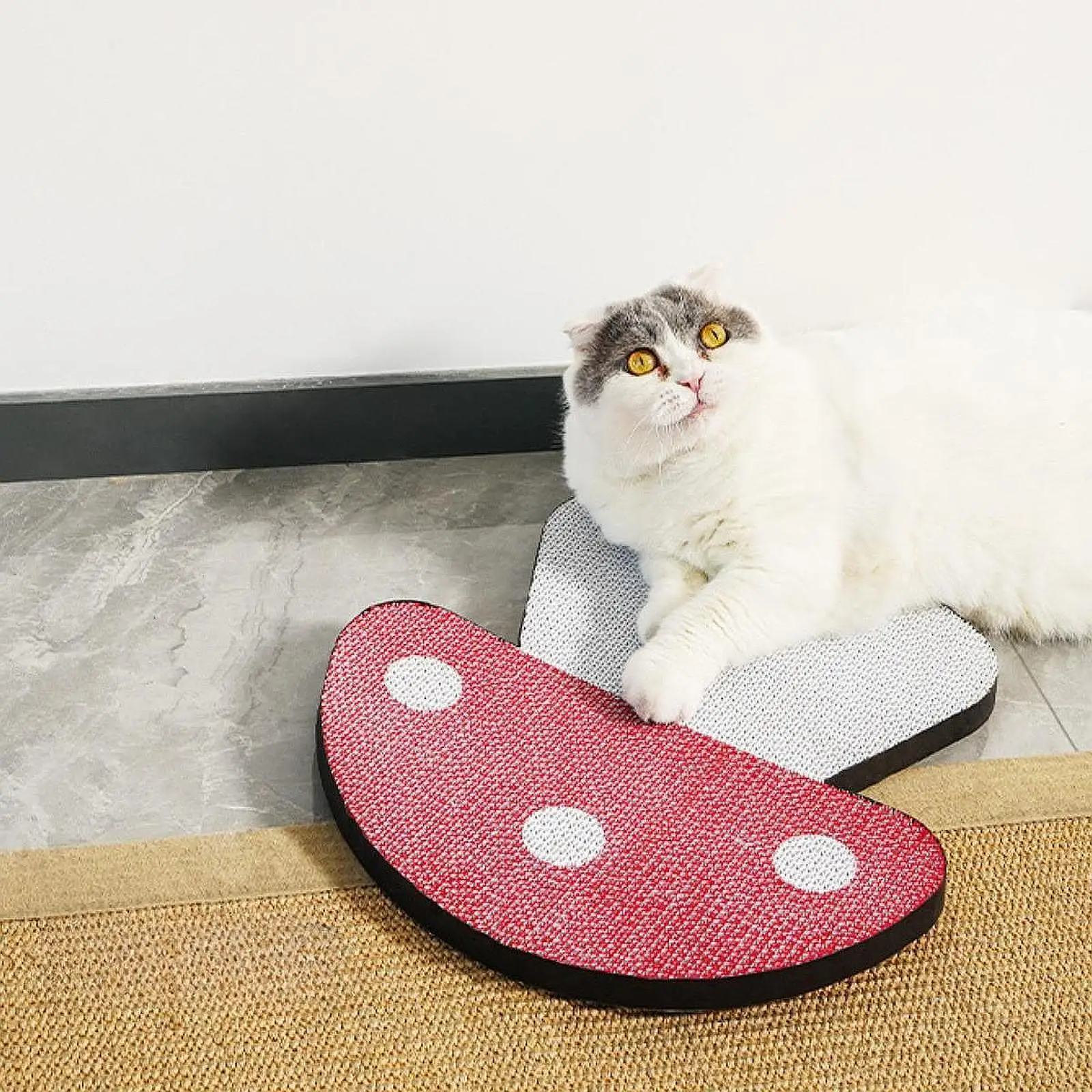 Almohadilla rascadora para gatos con forma de seta para gatos pequeños, medianos y grandes, gatitos - imagen 4
