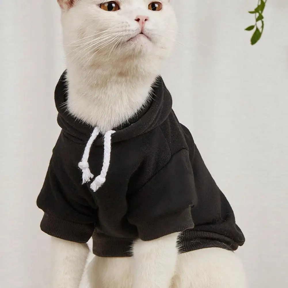 Jersey elegante para mascotas, traje de Cosplay de Color sólido, sudadera con capucha de dos patas, moda para mascotas - imagen 3