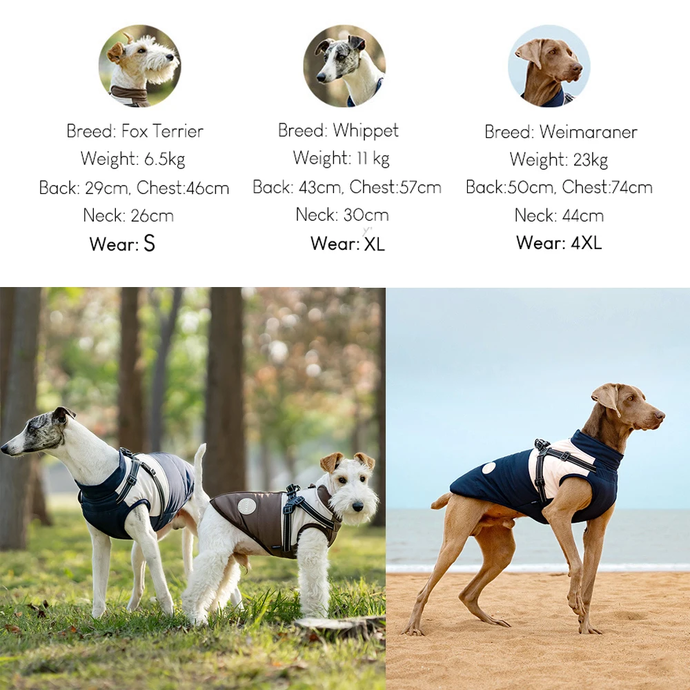 Chaqueta de invierno para perros con arnés, abrigo impermeable y cálido para perros pequeños y grandes, ropa reflectante de seguridad para perros, chaleco - imagen 4