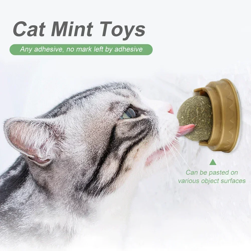 Juguetes de hierba gatera para mascotas, Bola de hierba gatera comestible, seguridad, gato saludable, menta, gatos, juego de persecución, productos de juguete, limpieza de dientes, estómago, catmenta, 1-10 Uds. - imagen 2