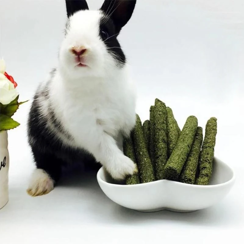 Pets Chewing Toys Carrot Timothy Hay Molar Sticks for Rabbits Guinea Pig Hamsters Chinchilla Bunny Chew Toys Teeth Treats - imagen 2