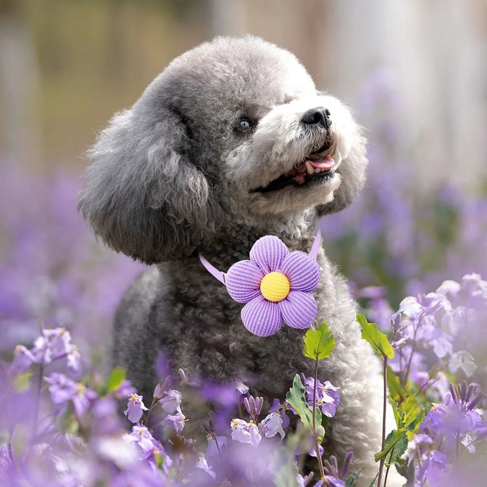 Nuevo 50 Uds. Pajarita de primavera para perros pequeños y gatos, pajarita bonita con flores, corbatas para perros y mascotas, accesorios ajustables para el cuello de mascotas para perros pequeños - imagen 3