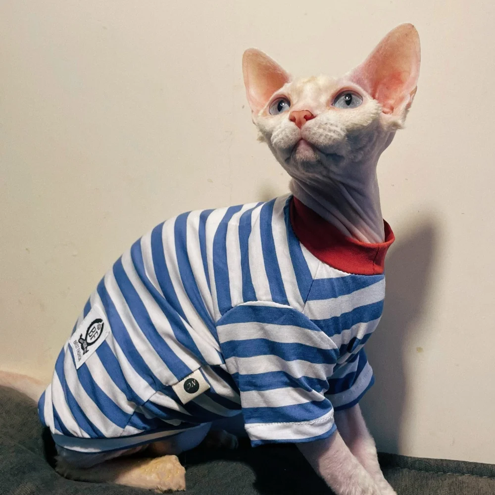 Camiseta gato Sphynx algodón rayas primavera verano - imagen 5