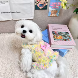 Chaleco tejido de color helado para perros y gatos, vestido con lazo para mascotas de otoño e invierno para perros pequeños (yorkshire/teddy), ropa para cachorros