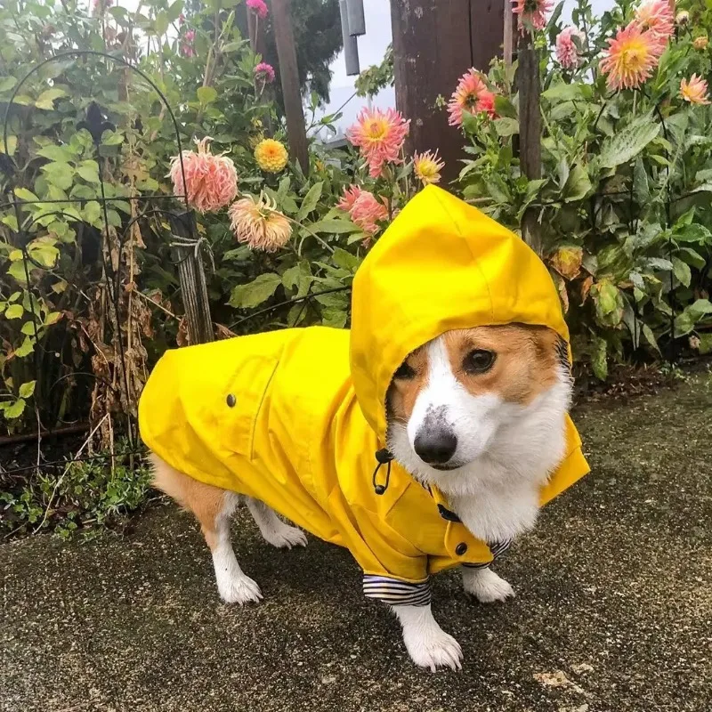 Chubasquero de moda para perros, impermeable, chaqueta, abrigo a prueba de viento para perros pequeños, medianos y grandes, ropa de moda para mascotas