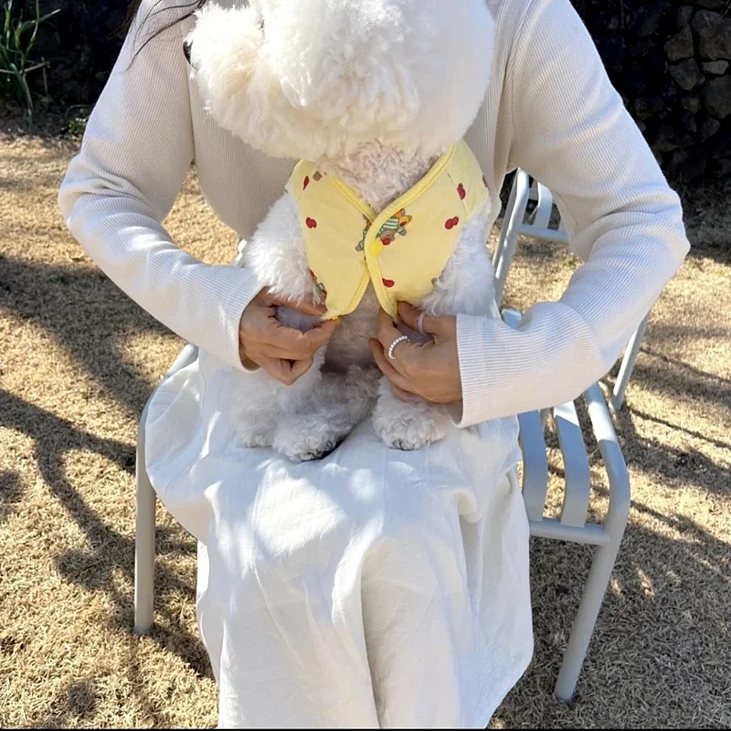 Abrigo de algodón de oso lindo para mascotas, ropa de perro de cuero, chaleco grueso de peluche, no incluye bufanda, camisa Snapback de dibujos animados, ropa cálida para cachorros - imagen 5