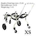 XS