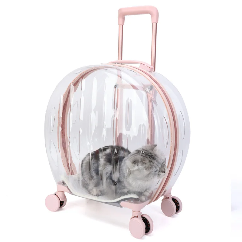 Transportín para gato transparente con ruedas, cómodo y ventilado - imagen 5