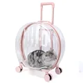 Striped pink
