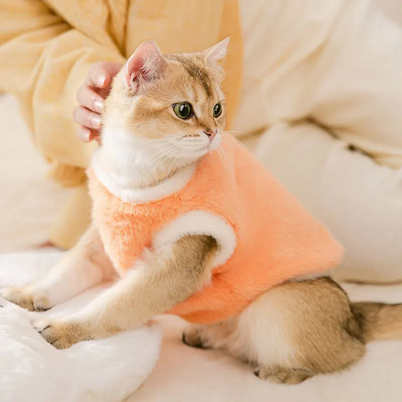 Ropa de primavera de imitación de visón, ropa de bípeda para perros, ropa cálida de otoño e invierno para perros pequeños, ropa para gatos, primavera - imagen 3