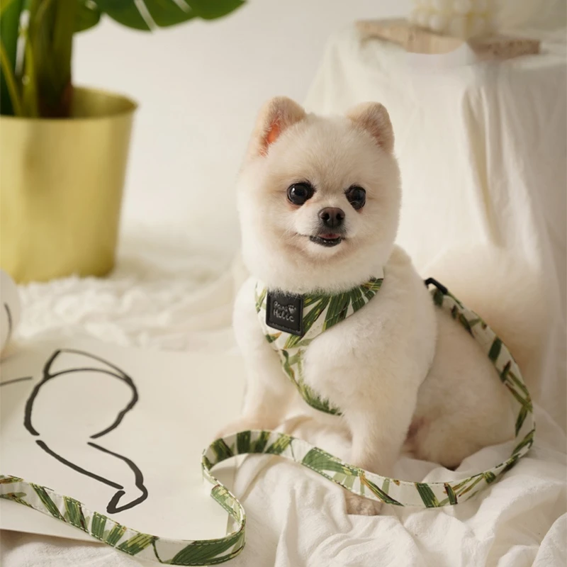 Arnés y Correa para Perros Suave Ajustable de Algodón Estilo Chaleco Antitirones Cómodo para Perros Pequeños y Medianos con Hebilla de Aleación de Zinc Diseño de Moda - imagen 3