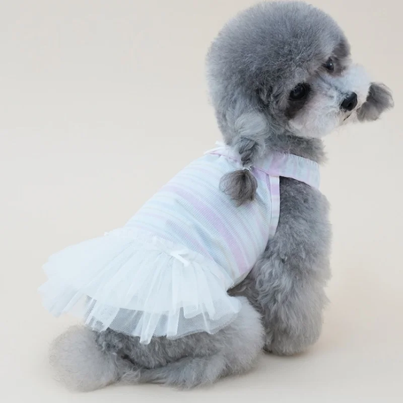 Vestido tutú con falda tweed y encaje para perro