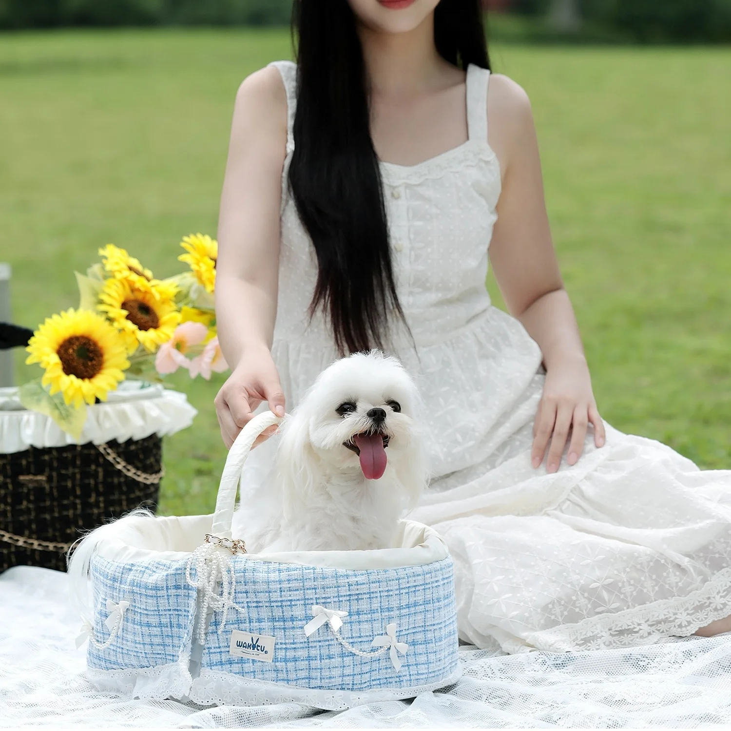 Cesta transportadora portátil para mascotas, para perros y gatos pequeños, bonita bolsa de viaje para mascotas al aire libre, cesta para mascotas, bolsa transportadora para mascotas, bolsa para gatos de picnic - imagen 3