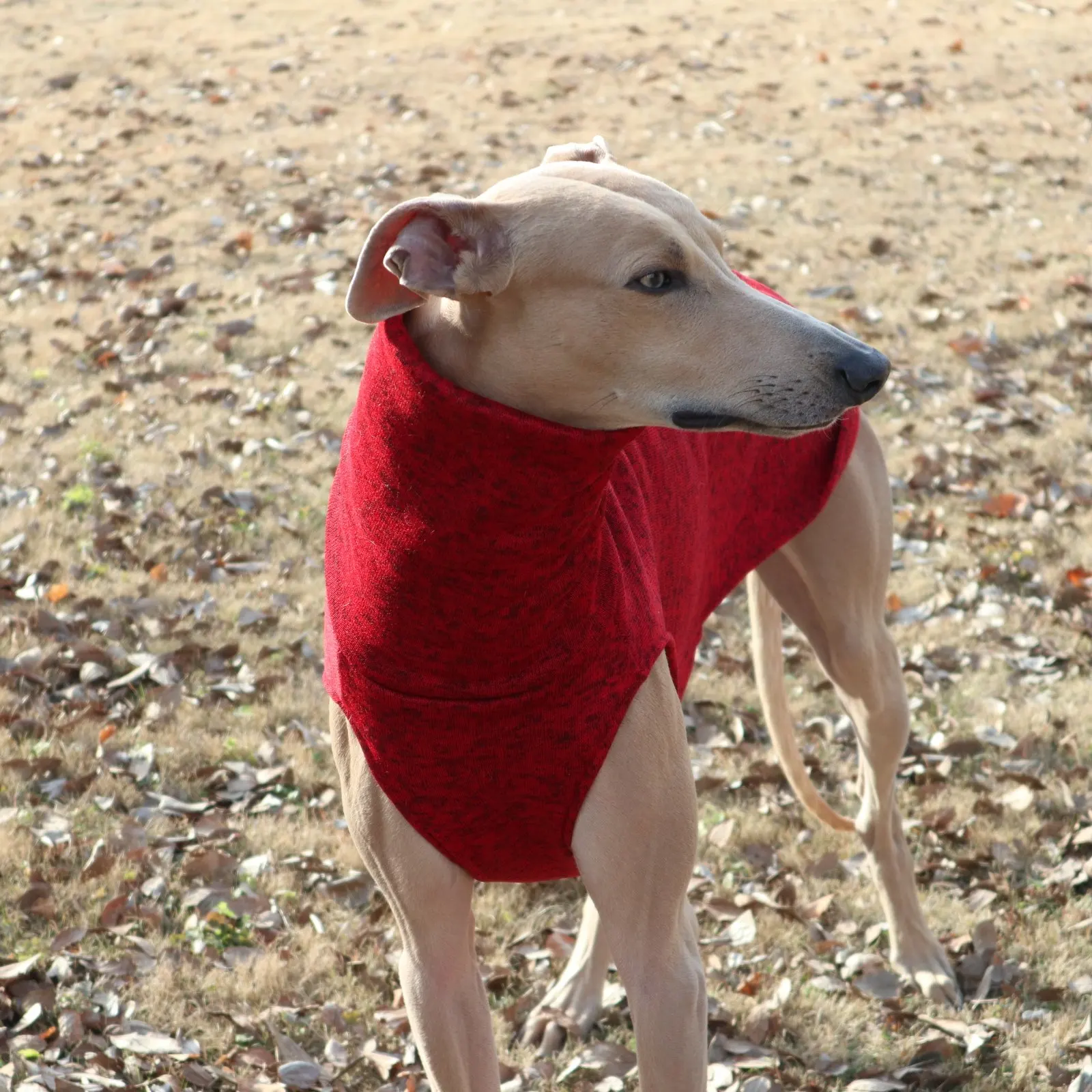 Chaleco polar rojo sin mangas para perros Whippet y Galgo Español - imagen 4