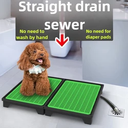 Inodoro con descarga para perros – Sistema de drenaje para medianos y grandes