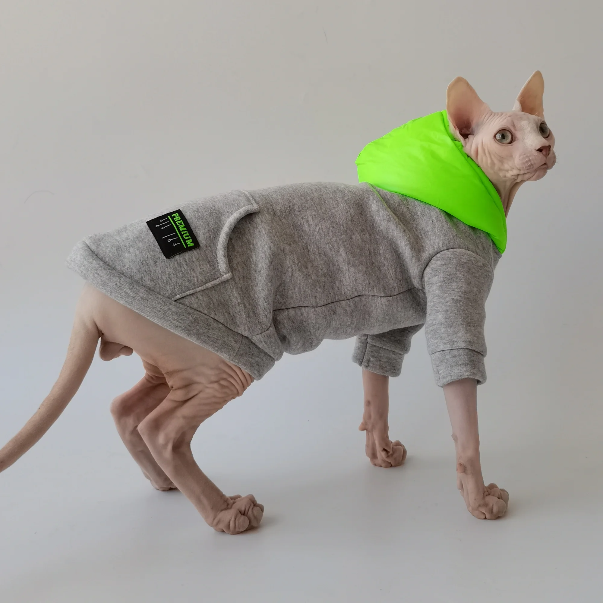 Sudadera con capucha gruesa y cálida para gato Sphynx en invierno, abrigo polar gris-verde para gato sin pelo en suministro de gatitos en clima frío - imagen 2
