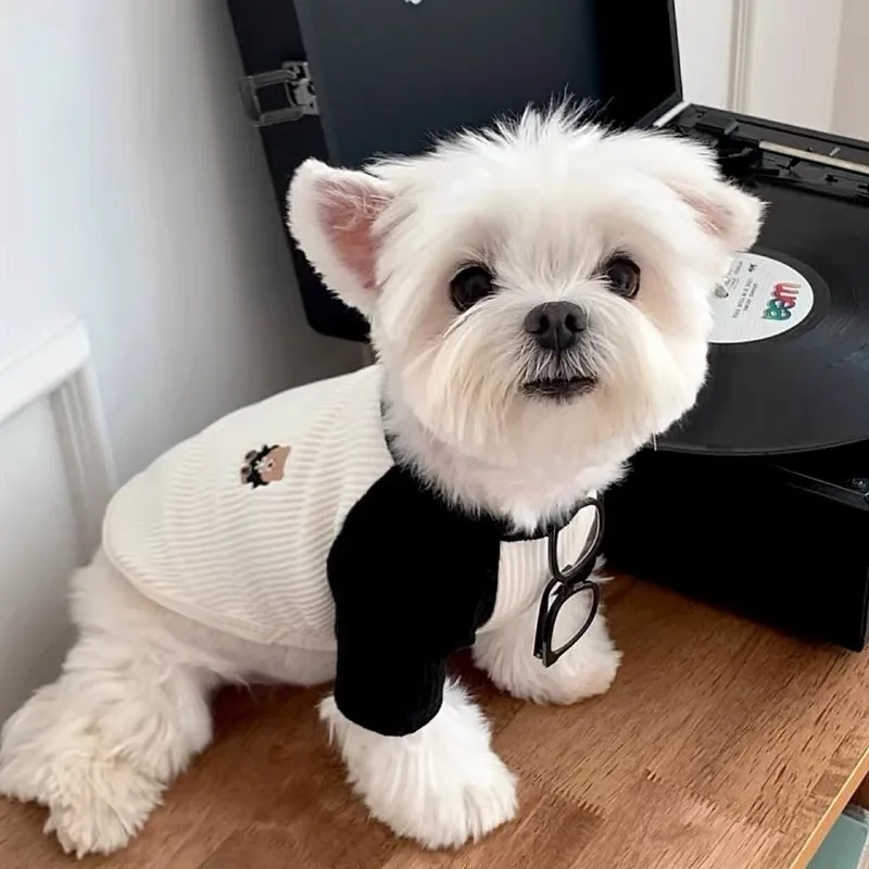 Ropa bonita de estilo europeo para mascotas, camisa de fondo de punto de peluche, chaleco de manga con parche de Pomerania, jersey cálido de invierno Yorkshire - imagen 2