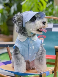 Camiseta azul de verano con sombrero para Schnauzer, ropa transpirable a la moda para perros pequeños, medianos y grandes, Pomerami Bichon