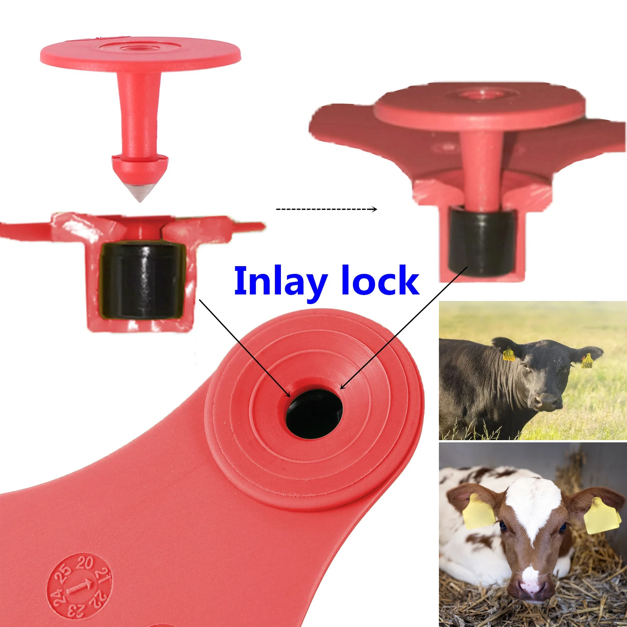 50 juegos de etiquetas auriculares de TPU para ganado. Etiquetas para cerdos, terneros y ovejas que evitan que se caigan y sean manipuladas. Suministros para animales de granja.