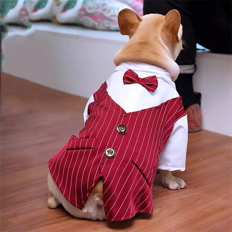 Traje Elegante para Perros Pequeños - Fiesta y Boda - imagen 4