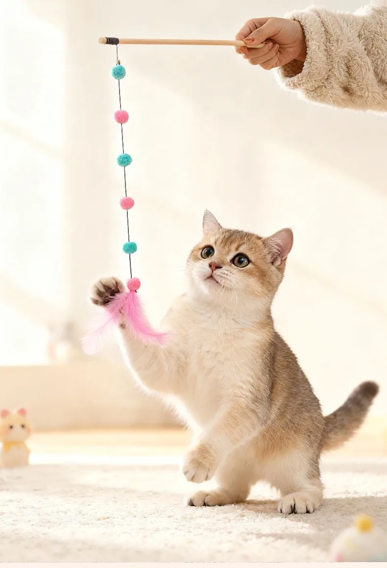Set completo de juguetes para gatos con bolas de pelo, palos de plumas y rompecabezas
