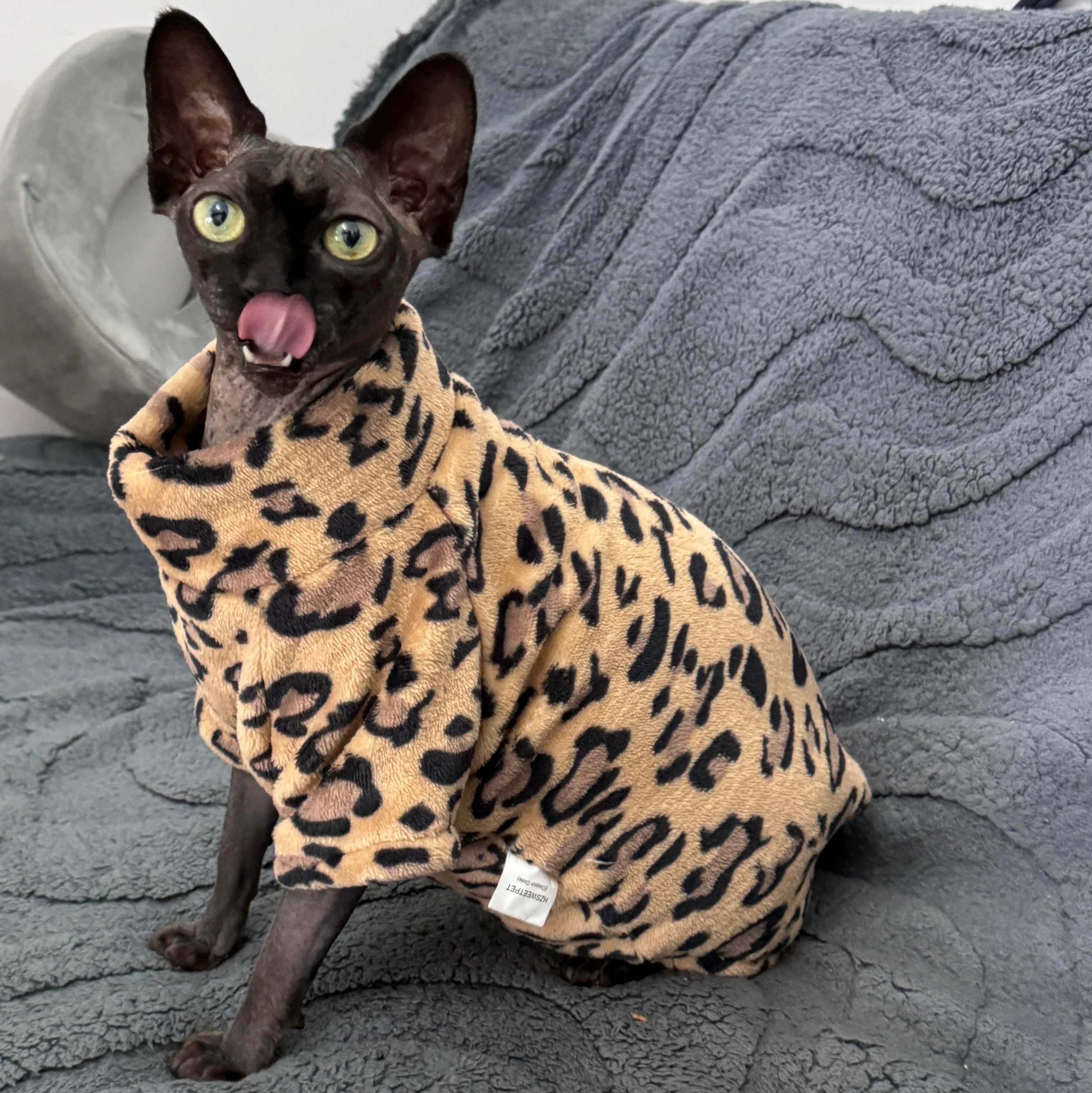 Ropa de gato moda invierno suave cálido para Sphynx ropa de gato comodidad gruesa sin pelo gato gatito trajes ropa - imagen 4