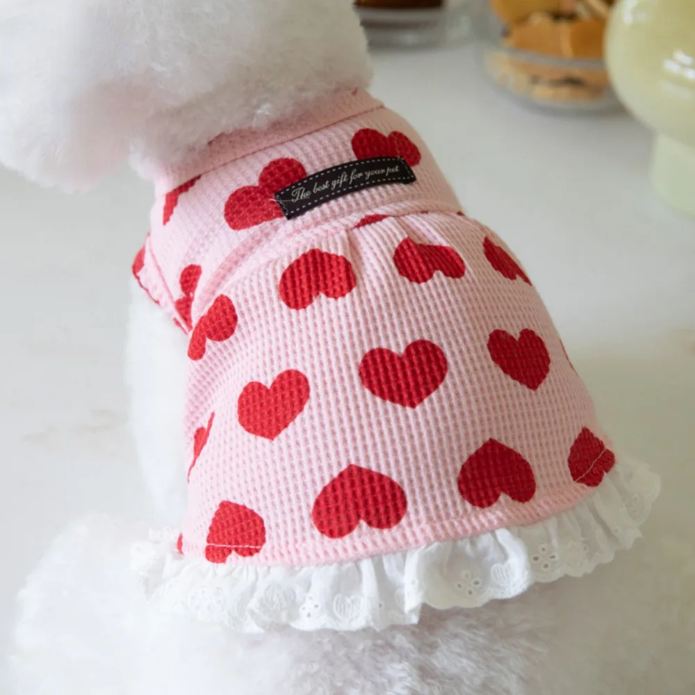 Vestido de perro sin mangas con estampado de amor para mascotas, ropa bonita para el hogar, bichones de peluche, ropa para cachorros, vestidos para perros pequeños, Otoño e Invierno - imagen 5