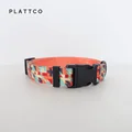Dog Collar