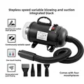Black-Blow Suction