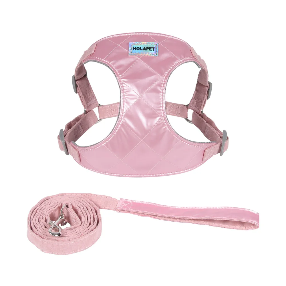 Juego de arnés y correa para perros pequeños y medianos, gatos al aire libre, sin tirar, correa ajustable para el pecho, Chihuahua, Pug, suministros para mascotas - imagen 3