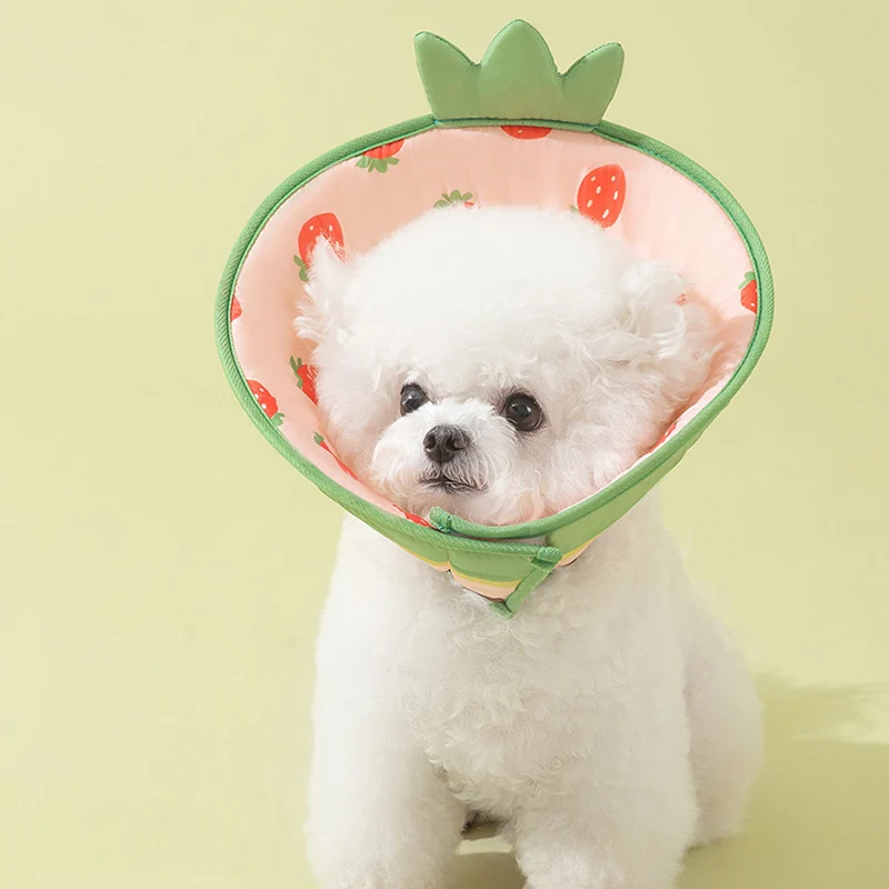 Collar isabelino ajustable para perros, forma de fruta de dibujos animados, perro y gato, Collar de recuperación acolchado suave, Anti lamer, protector para heridas - imagen 4