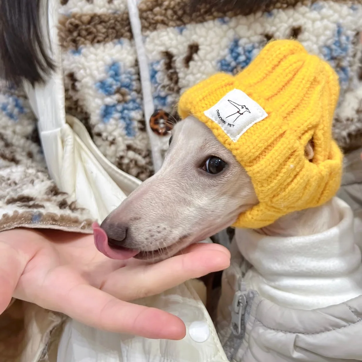 Gorro de punto para Galgo Italiano y Whippet - Invierno cálido - imagen 2