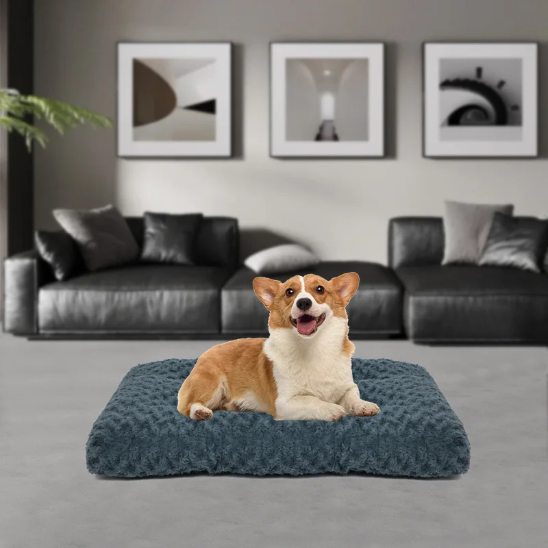 Cama sofá lavable para gatos y perros pequeños – Suave y cálida