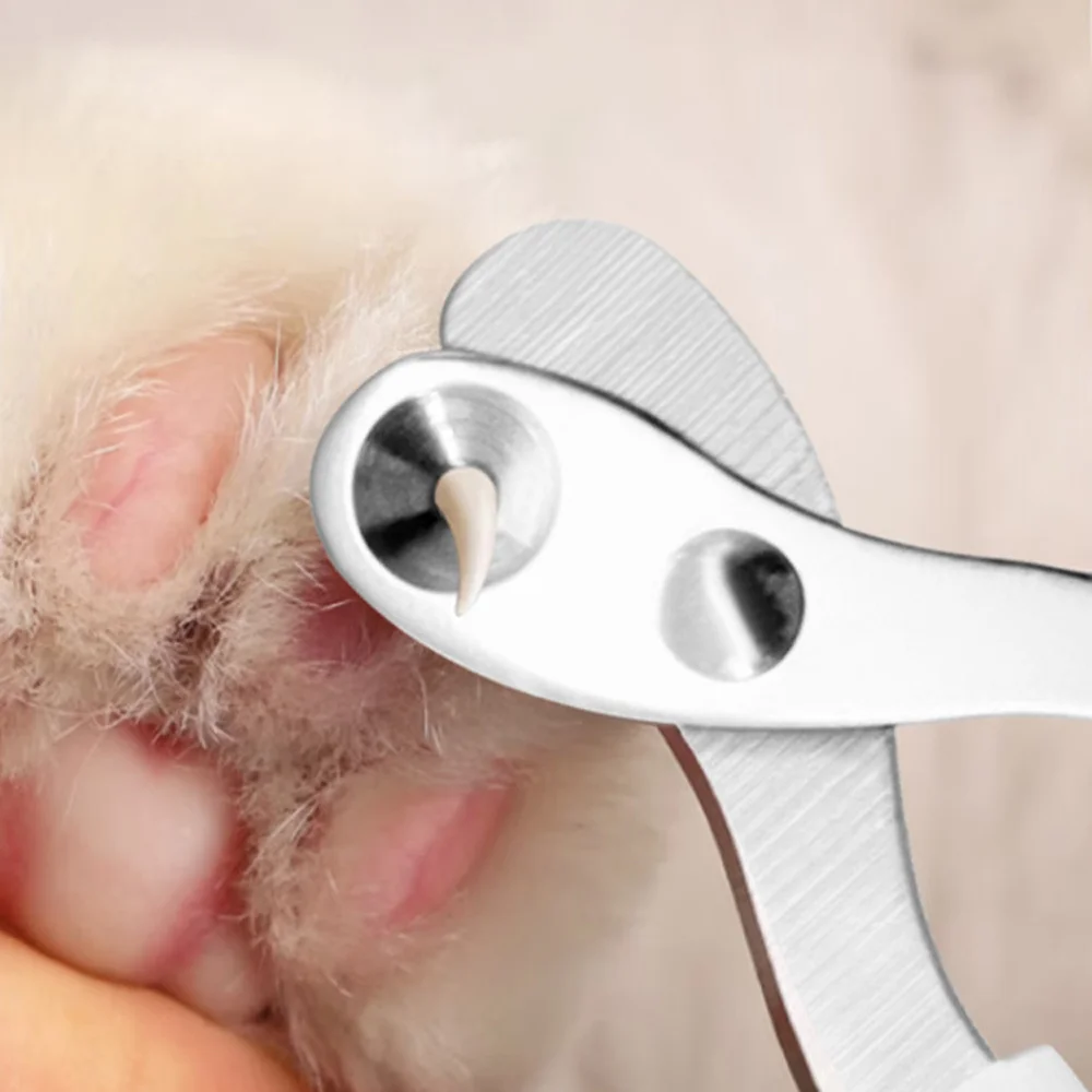 Cortauñas de acero inoxidable para perros y gatos, cortadores de uñas profesionales para mascotas, tijeras, recortador de garras para cachorros y gatitos, suministros de aseo para mascotas - imagen 3