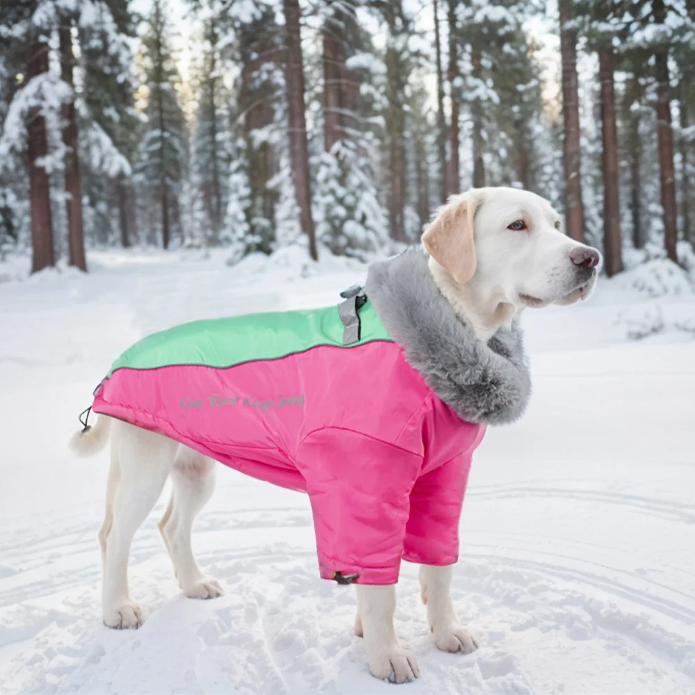 Ropa gruesa y cálida para perros, abrigo reflectante de invierno, chaqueta, ropa suave para mascotas con Cuello de piel, impermeable para perros medianos y grandes - imagen 5