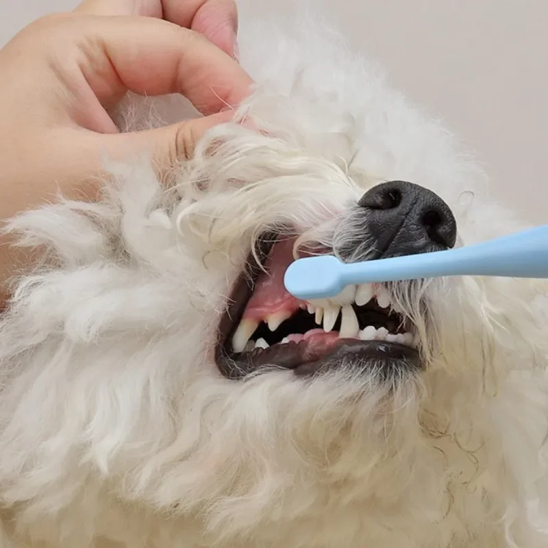 Cepillo de dientes multifuncional para perros, cepillo de pelo suave, herramientas de limpieza bucal, suministros para mascotas - imagen 2