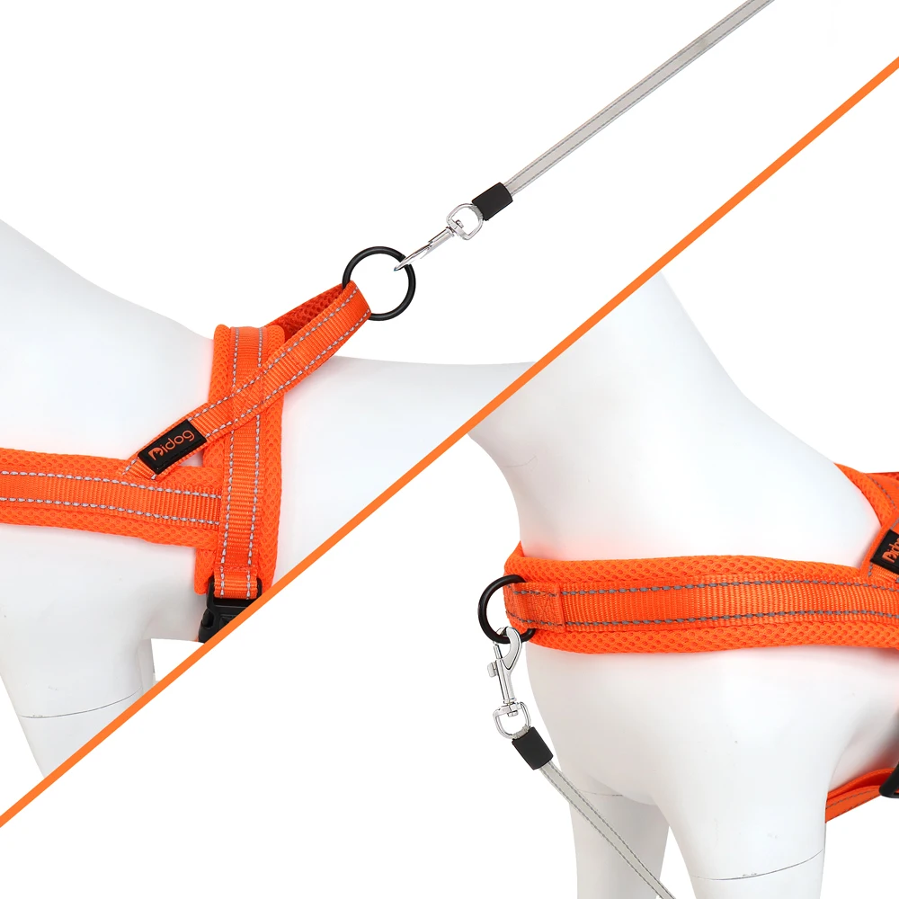 Arnés malla nylon perros - Perro usando el arnés negro