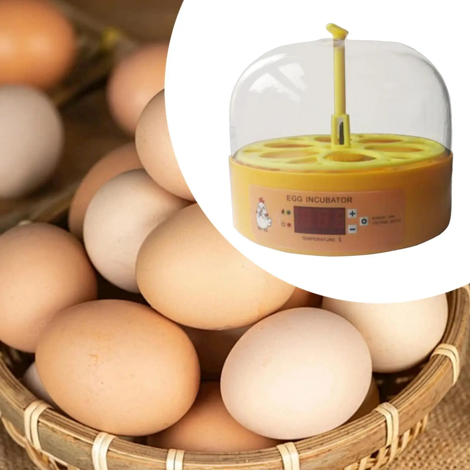 Egg Incubator AU Plug Chicken Hatching Machine for Duck Eggs Family Chicken