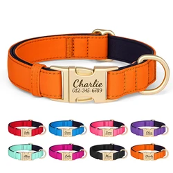 Collar de nylon para perro – Personalizable con grabado resistente