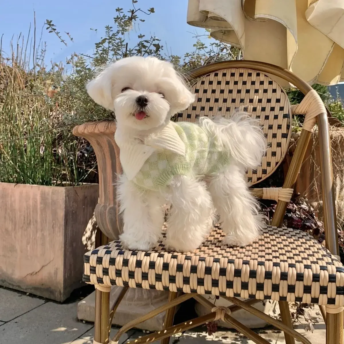 INS-suéter a cuadros para mascotas, suéter de cachemira con solapa para perro y gato, bonito suéter para perro, ropa para cachorro, ropa para perros grandes, artículos para mascotas - imagen 5