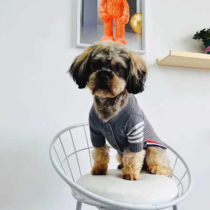 Suéter de moda para mascotas, perro, gato, peluche, gradiente plateado, cárdigan TB, ropa, suministros para perros