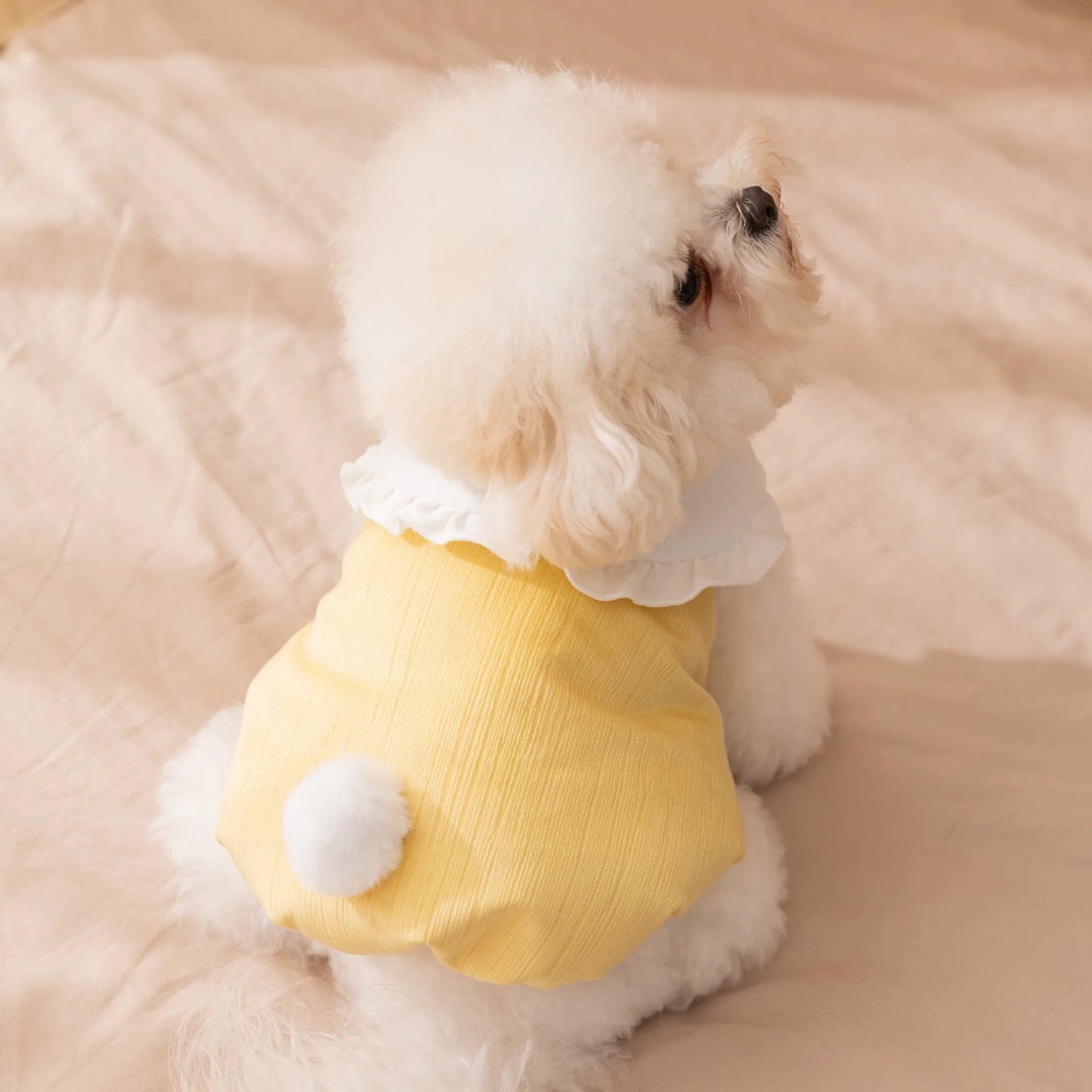 Abrigo bonito de otoño/invierno para perros y conejos, ropa para perros, abrigo bordado con helado, ropa para cachorros pequeños - imagen 3