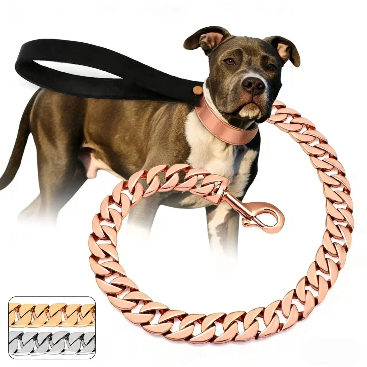 Collar resistente de acero inoxidable para Bulldog y Pitbull - imagen 4