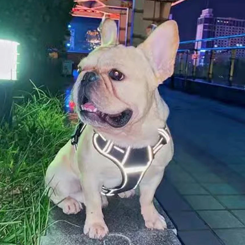 Arnés ajustable para mascotas Bulldog Francés, chaleco para perros medianos y grandes, arneses reflectantes para perros grandes, conjunto de correa, cadena para mascotas Prdocuts - imagen 3